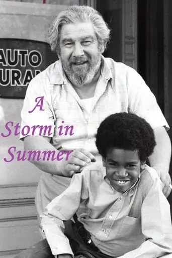 A Storm in Summer movie poster - Rated 6/10