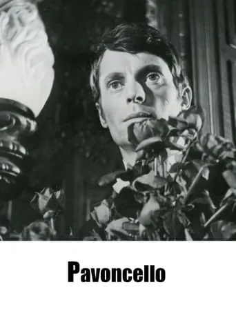 Pavoncello movie poster - Rated 6/10