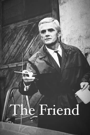 The Friend movie poster - Rated 5/10