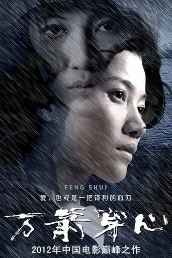 Feng Shui movie poster - Rated 7.4/10