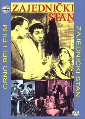 Shared Apartment movie poster - Rated 5.8/10