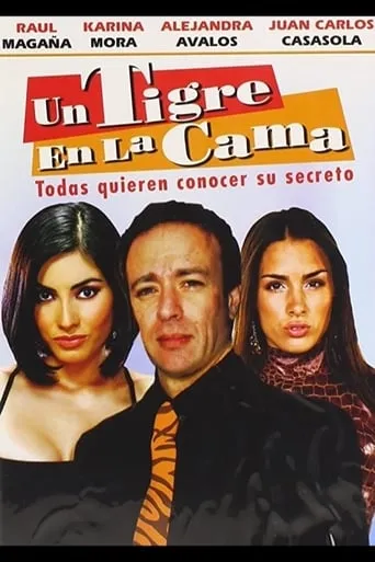 Un tigre en la cama movie poster - Rated 5/10
