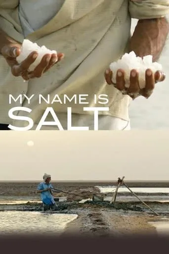 My Name Is Salt movie poster - Rated 6.9/10