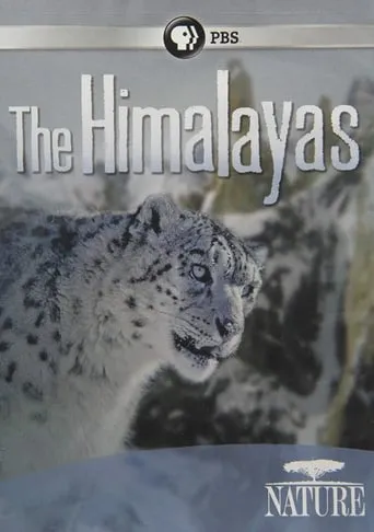 The Himalayas movie poster - Rated 8/10