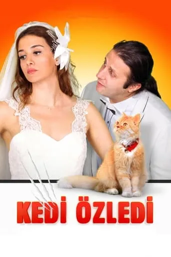 Kedi Özledi movie poster - Rated 4.6/10