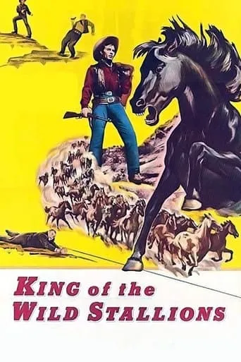 King of the Wild Stallions movie poster - Rated 6/10