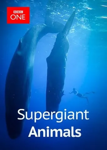 Supergiant Animals movie poster - Rated 8.5/10