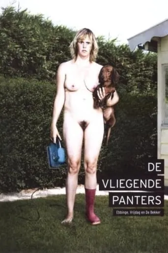 De Vliegende Panters: Ebbinge, Vrijdag en De Bekker movie poster - Rated 7.5/10