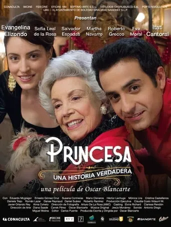 Princess, A True Story movie poster - Rated 5.8/10