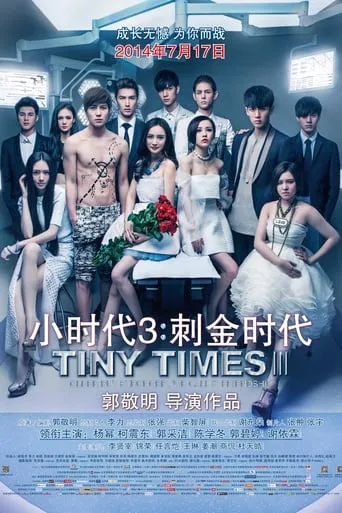 Tiny Times 3 movie poster - Rated 3.3/10