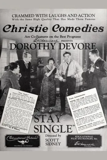 Stay Single movie poster - Rated 6/10