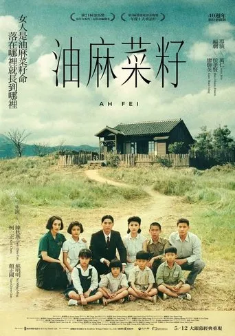 Ah Fei movie poster - Rated 5.9/10