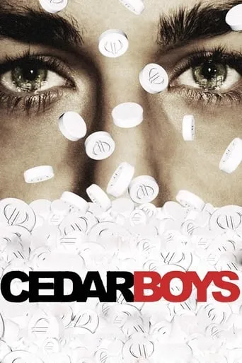 Cedar Boys movie poster - Rated 4.6/10