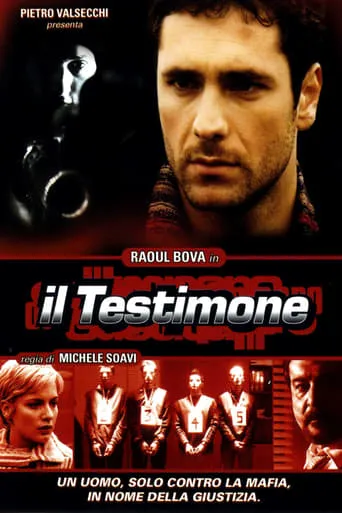 Il testimone movie poster - Rated 6.2/10