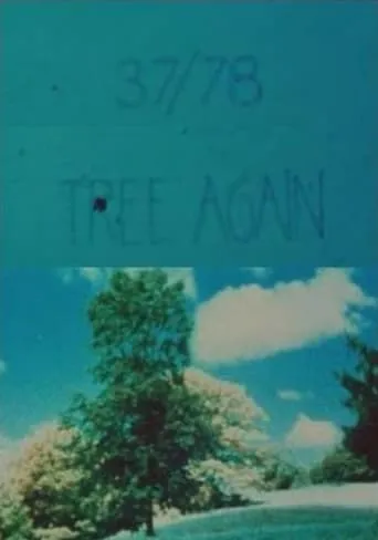 37/78: Tree Again movie poster - Rated 5.5/10