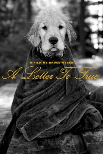 A Letter to True movie poster - Rated 5.7/10