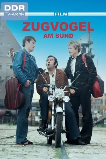 Zugvogel am Sund movie poster - Rated 4/10