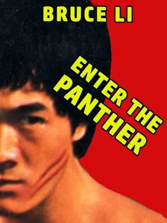 Enter the Panther movie poster - Rated 3/10