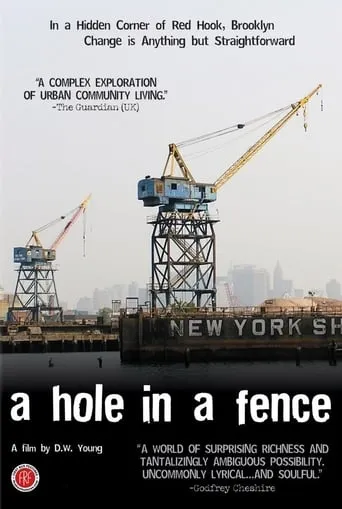 A Hole in a Fence movie poster - Entertainment content
