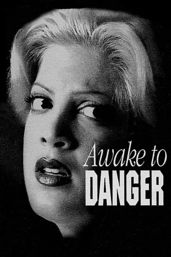 Awake to Danger movie poster - Rated 6/10