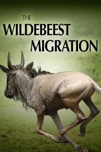 The Wildebeest Migration: Nature's Greatest Journey movie poster - Rated 10/10
