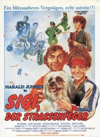 Sigi, der Straßenfeger movie poster - Rated 4.5/10
