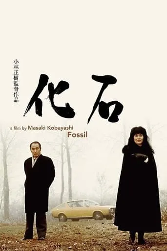 The Fossil movie poster - Rated 6.8/10