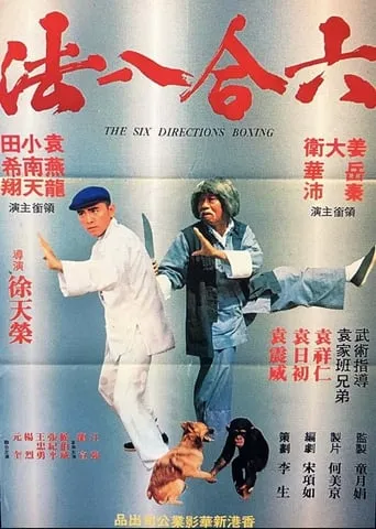 The Six Directions of Boxing movie poster - Rated 7/10