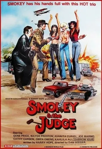 Smokey and the Judge movie poster - Rated 6/10