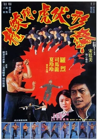 Secret of Chinese Kung Fu movie poster - Rated 6/10