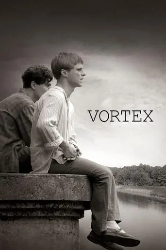 Vortex movie poster - Rated 6.6/10