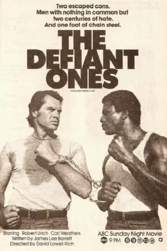The Defiant Ones movie poster - Rated 4.7/10
