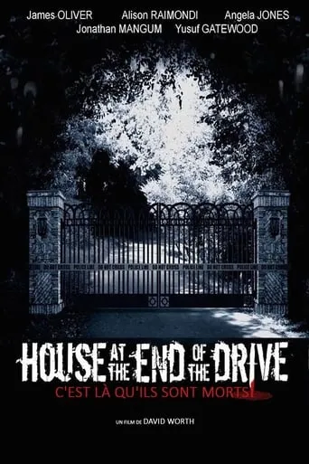 House at the End of the Drive movie poster - Rated 8.2/10