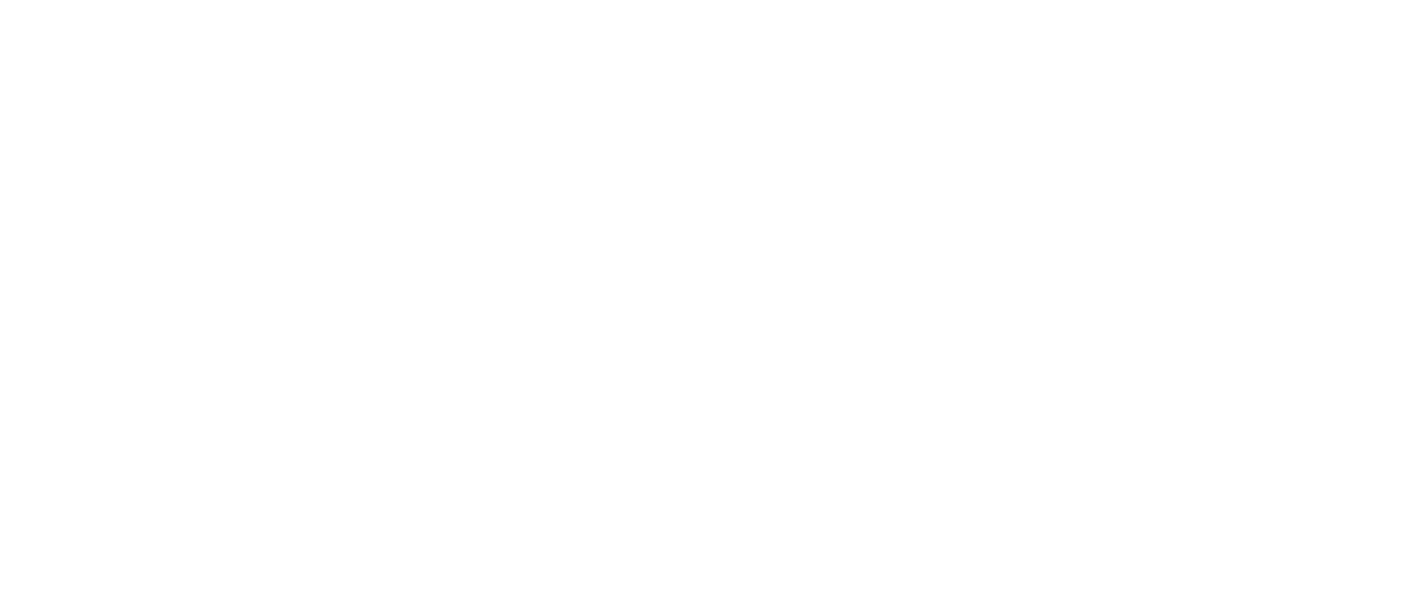 Haider