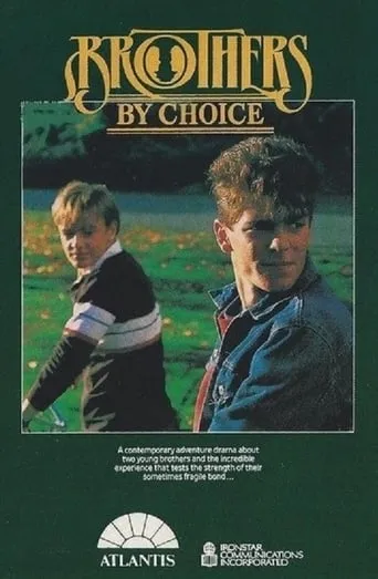 Brothers by Choice movie poster - Rated 8/10