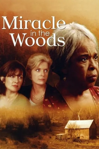 Miracle in the Woods movie poster - Rated 6.3/10