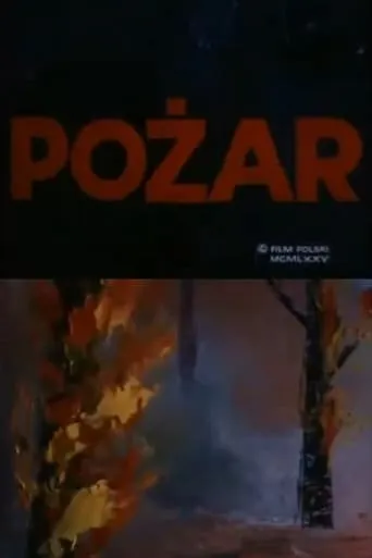 Fire movie poster - Rated 8/10