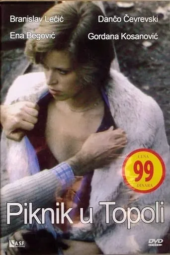 Picnic in Topola movie poster - Rated 5/10