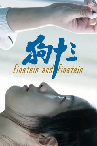 Einstein and Einstein movie poster - Rated 7.288/10