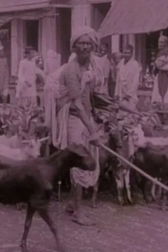 Picturesque India or, In and About Calcutta movie poster - Rated 5/10