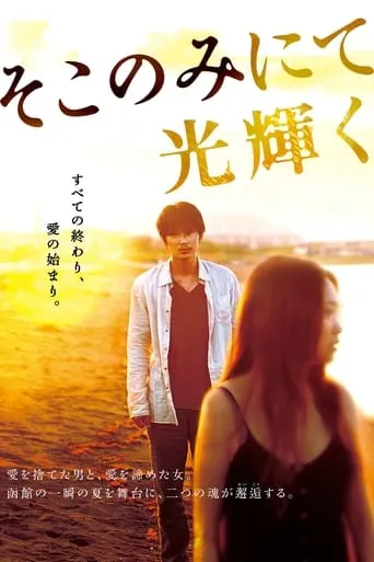 The Light Shines Only There movie poster - Rated 6.6/10