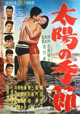 Season of the Sun movie poster - Rated 6/10