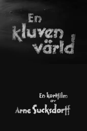 A Divided World movie poster - Rated 6.3/10