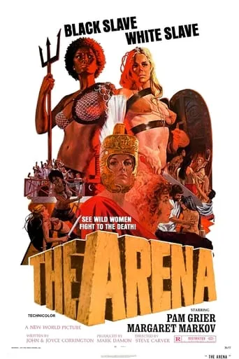 The Arena movie poster - Rated 5.391/10