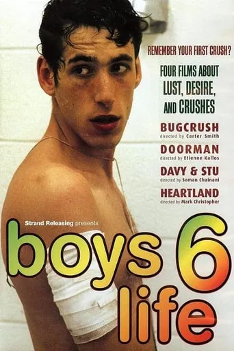 Boys Life 6 movie poster - Rated 4.9/10
