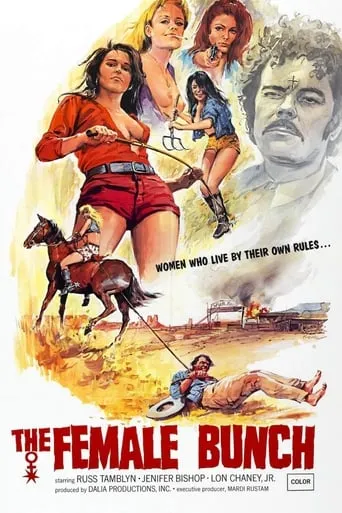 The Female Bunch movie poster - Rated 5/10