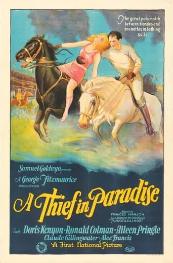 A Thief in Paradise movie poster - Rated 6/10