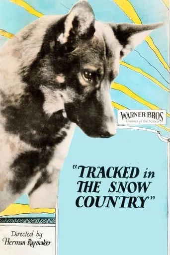 Tracked in the Snow Country movie poster - Entertainment content