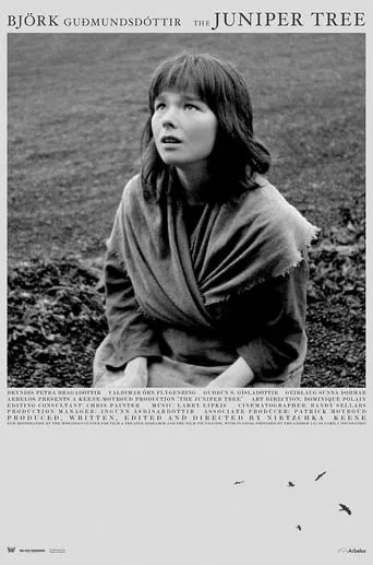 The Juniper Tree movie poster - Rated 6.8/10