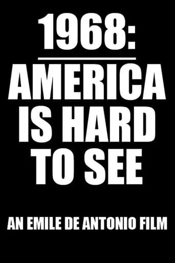 America Is Hard to See movie poster - Entertainment content